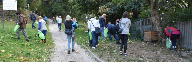 Sprzątanie Parkówki