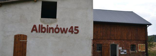 Albinów 45