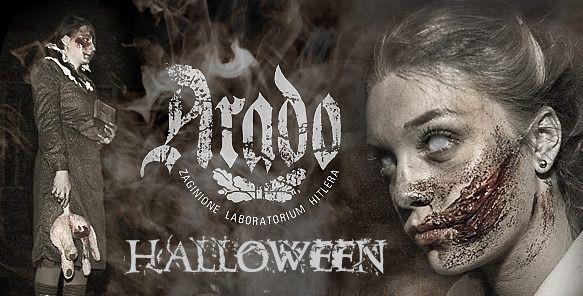 Halloween w Arado - zdjęcia