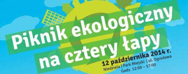 Piknik na cztery łapy