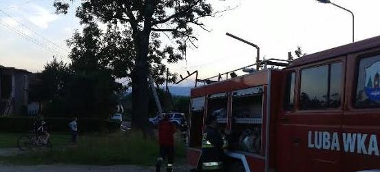 Ściągali kotka