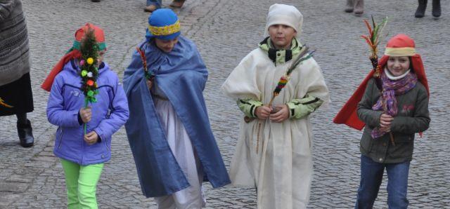 Palmy w Chełmsku