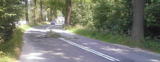 Niebezpieczna niespodzianka ? Twoja powiatowa