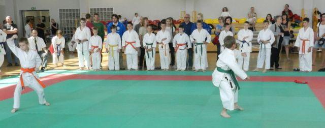 Mistrzostwa karate
