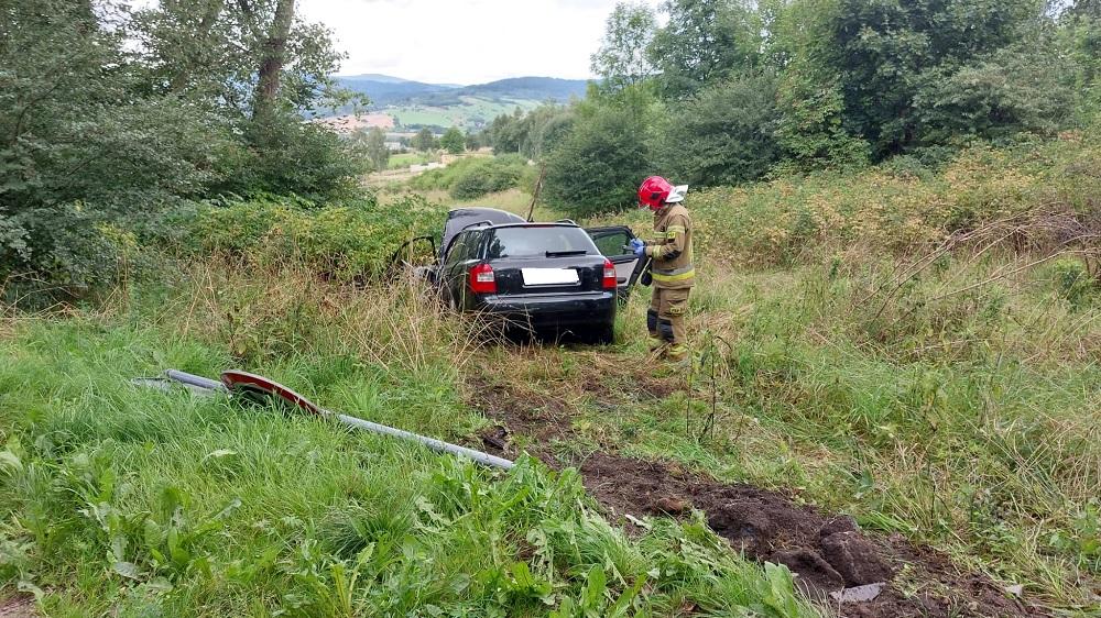 Drzewo, znak i pobocze
