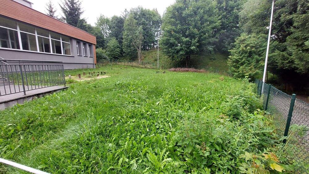 Strefa aktywności w Pisarzowicach