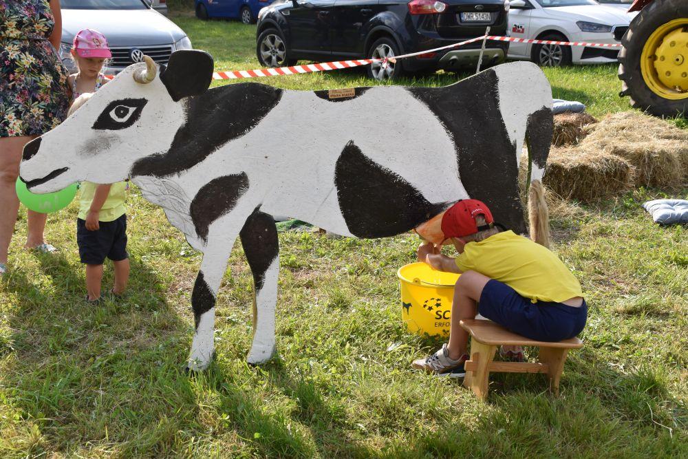 Mleko w głównej roli
