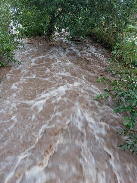 Drzewa na drodze, podtopienia