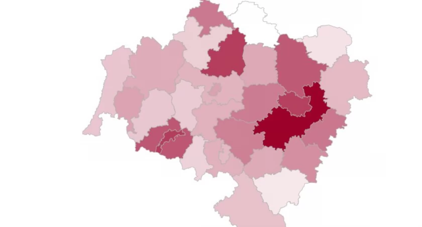 Frekwencja o godzinie 17:00