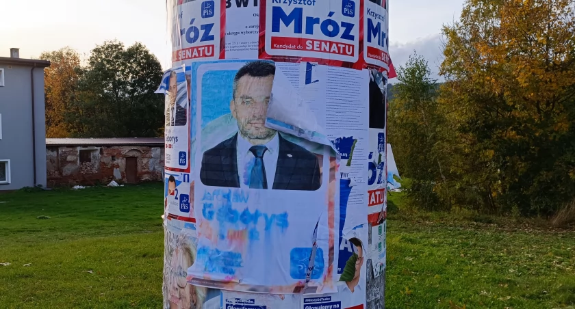 Eko wybory?