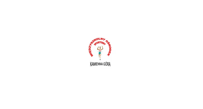 Licealiada – badminton – finał powiatowy