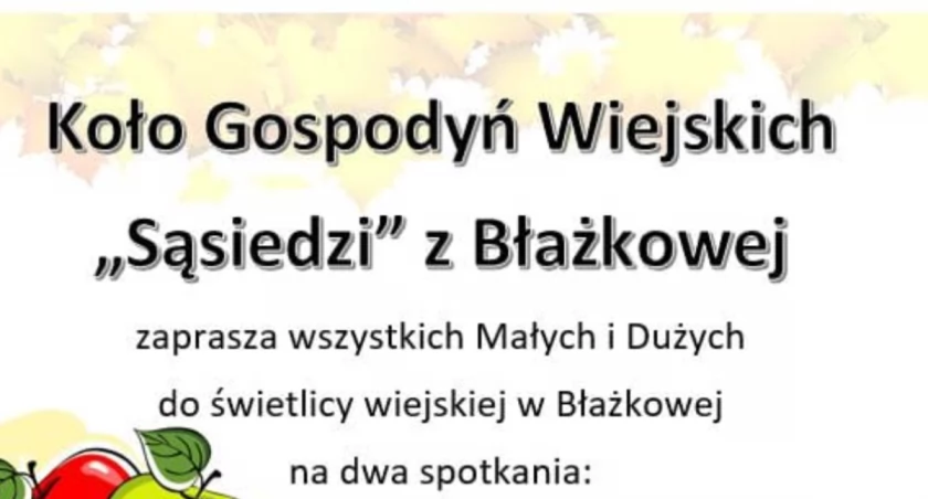 Soki, naleśniki i koszulki
