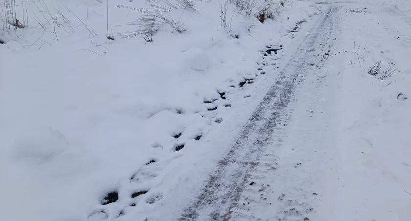 Intensywne opady śniegu
