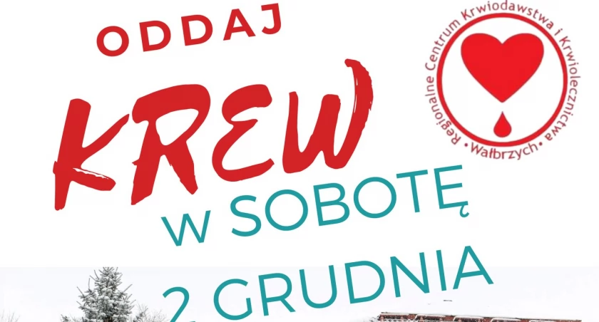 Oddaj krew w sobotę