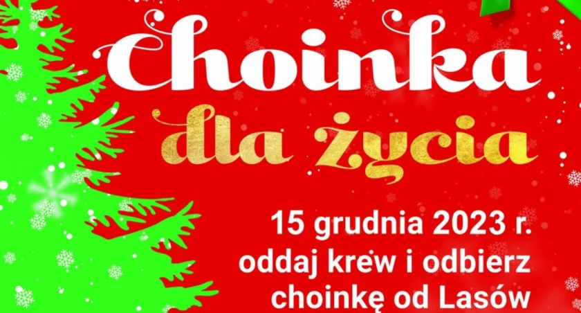 Choinka dla życia