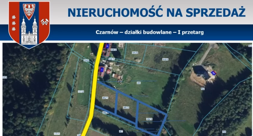 Gmina Kamienna Góra - działki budowlane Czarnów - I przetarg