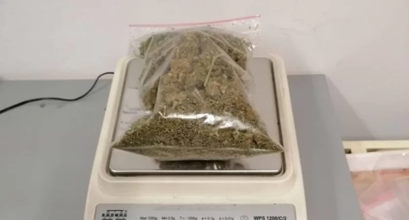 Narkotyki i hazard w powiecie kamiennogórskim