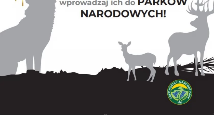 Nie strzelaj - apeluje Karkonoski Park Narodowy