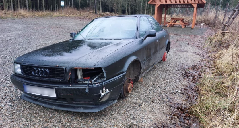 Audi na leśnym parkingu