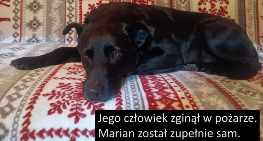 Marian został zupełnie sam