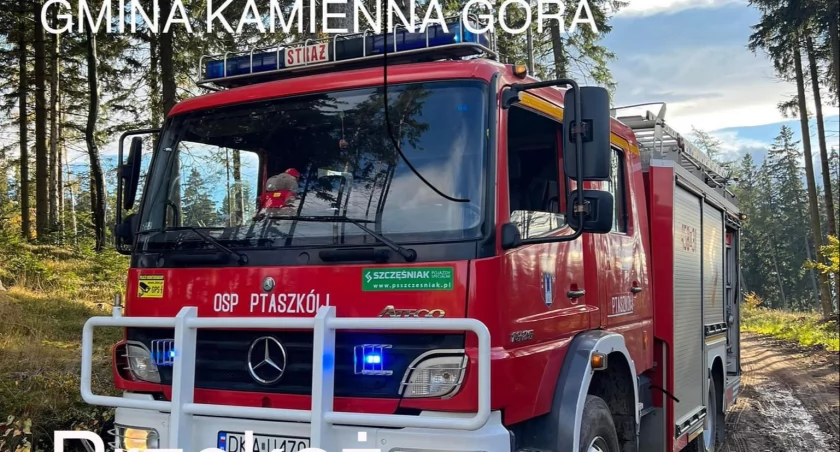 1,5% podatku dla OSP Ptaszków
