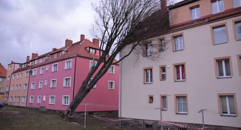 Wiatr sieje zniszczenie