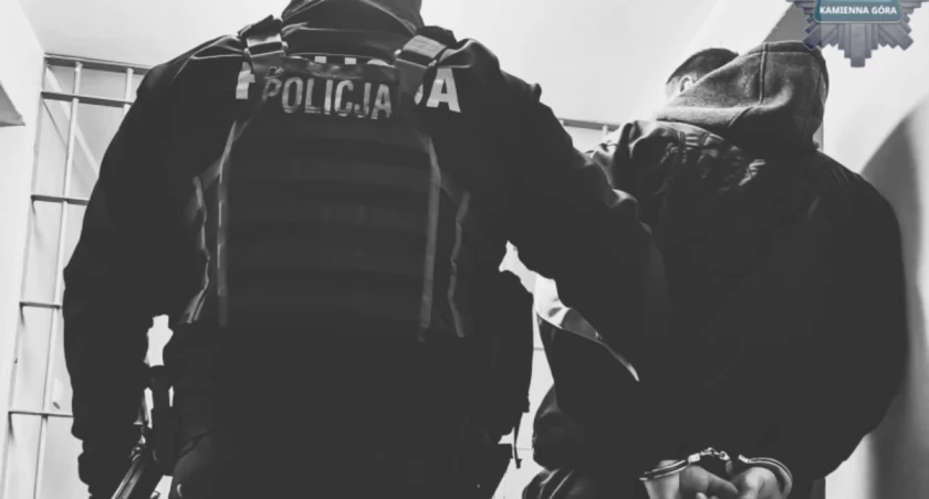 Agresywny włamywacz