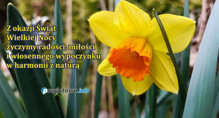 Życzenia - Wielkanoc 2024