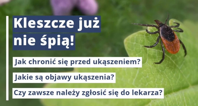 Uważaj na kleszcze