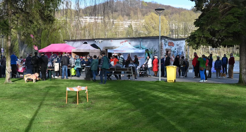 Wczesny początek sezonu grillowego w Kamiennej Górze