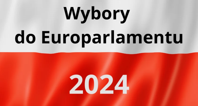 Wybory do Europarlamentu