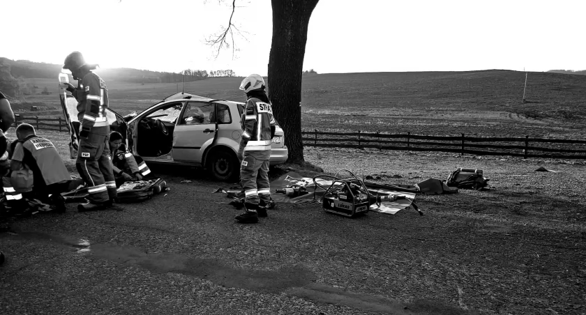 Uderzył w drzewo - zginął 47-latek