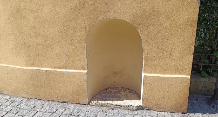 Z centrum Kamiennej Góry zniknął pies