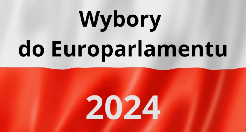 Wybory do europarlamentu - frekwencja godzina 12:00