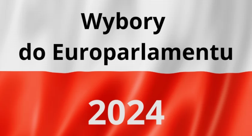 Wybory do europarlamentu - frekwencja godzina 17:00