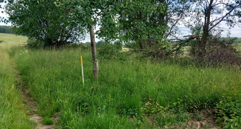 Ptaszków - działka budowlana na sprzedaż