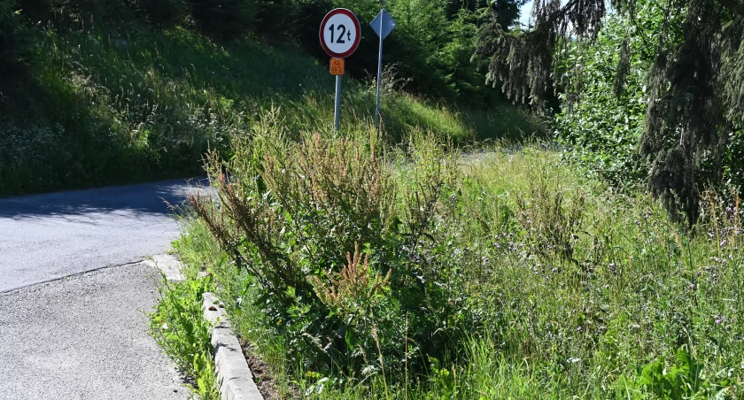 Zapomniane pobocza