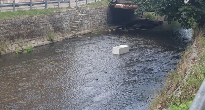 Śmieci w rzece w Kamiennej Górze