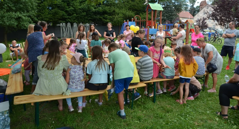 O owadach w Chełmsku Śląskim