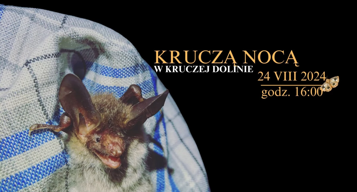 Krucza Nocą - czyli co w dolinie nocą słychać!