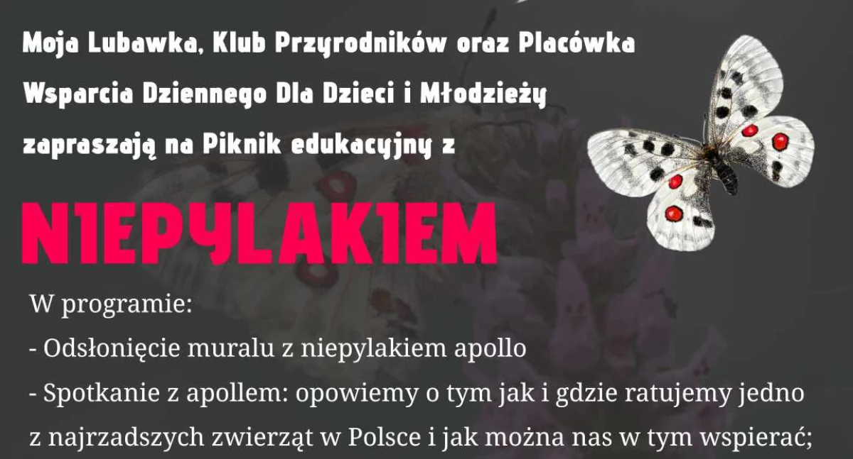 Piknik z Niepylakiem w centrum Lubawki