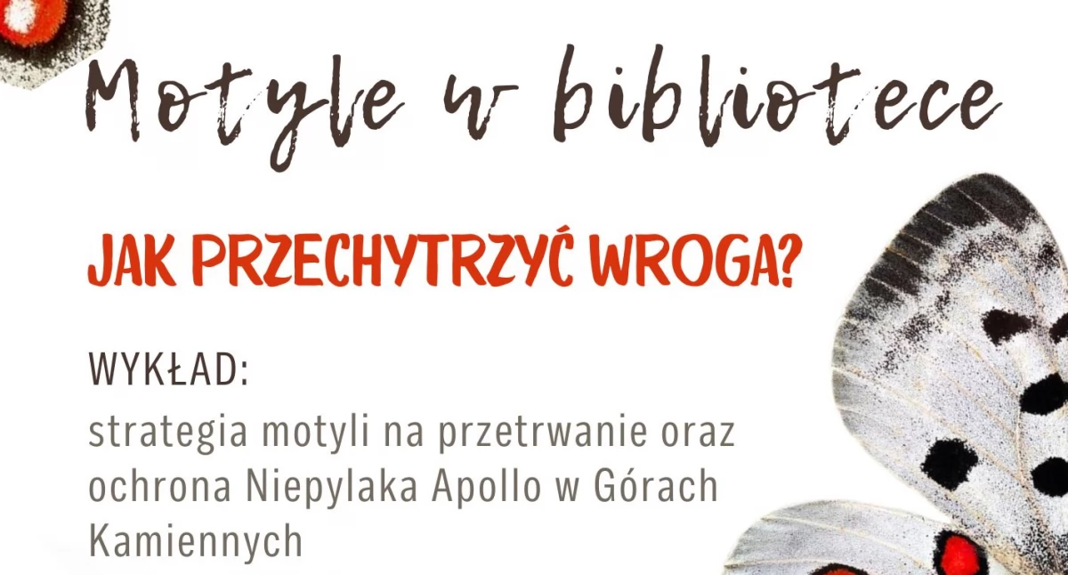 O motylu w bibliotece