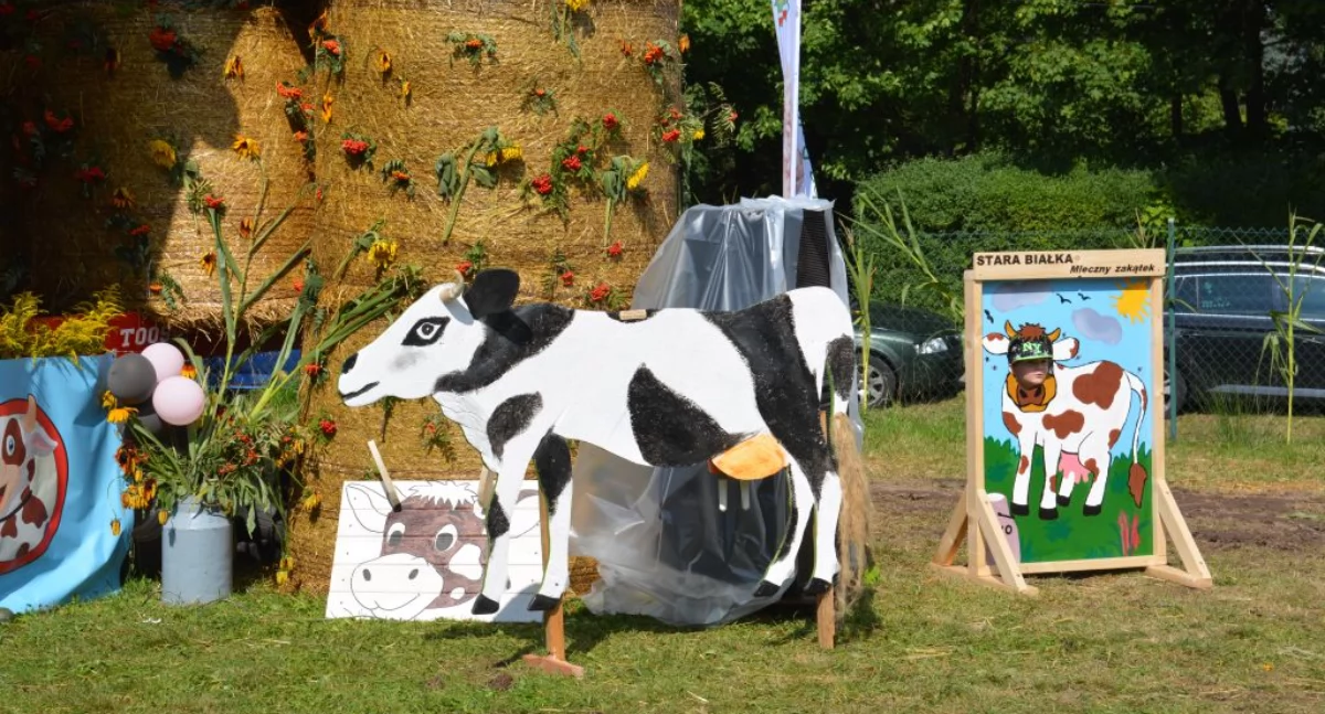4 festiwal mleka