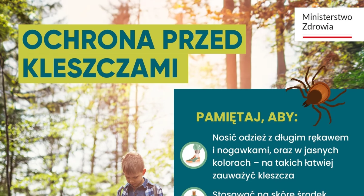 Gdy ukąsi Cię kleszcz