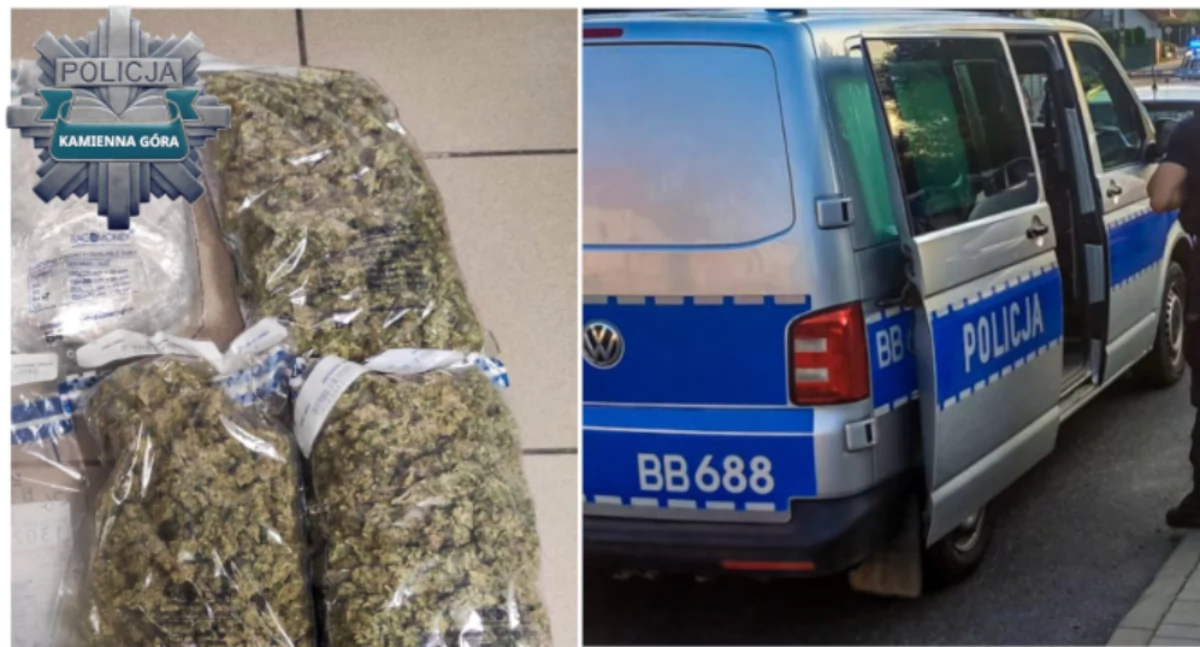 Polak i Czesi zatrzymani z narkotykami