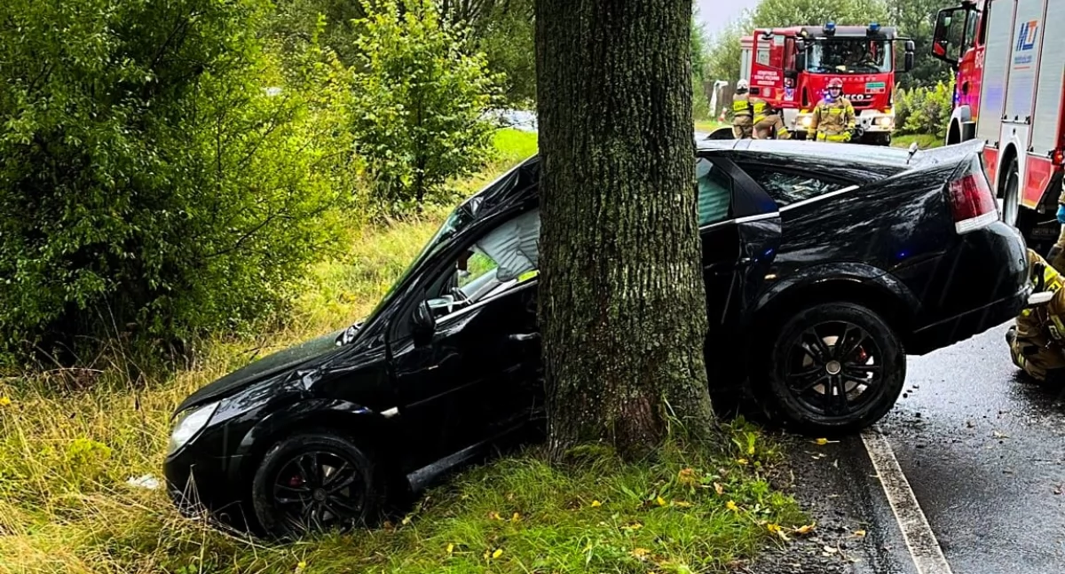 Wypadek między Krzeszowem a Czadrowem