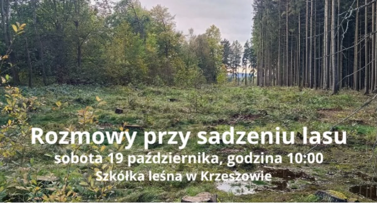 Sadzenie lasu