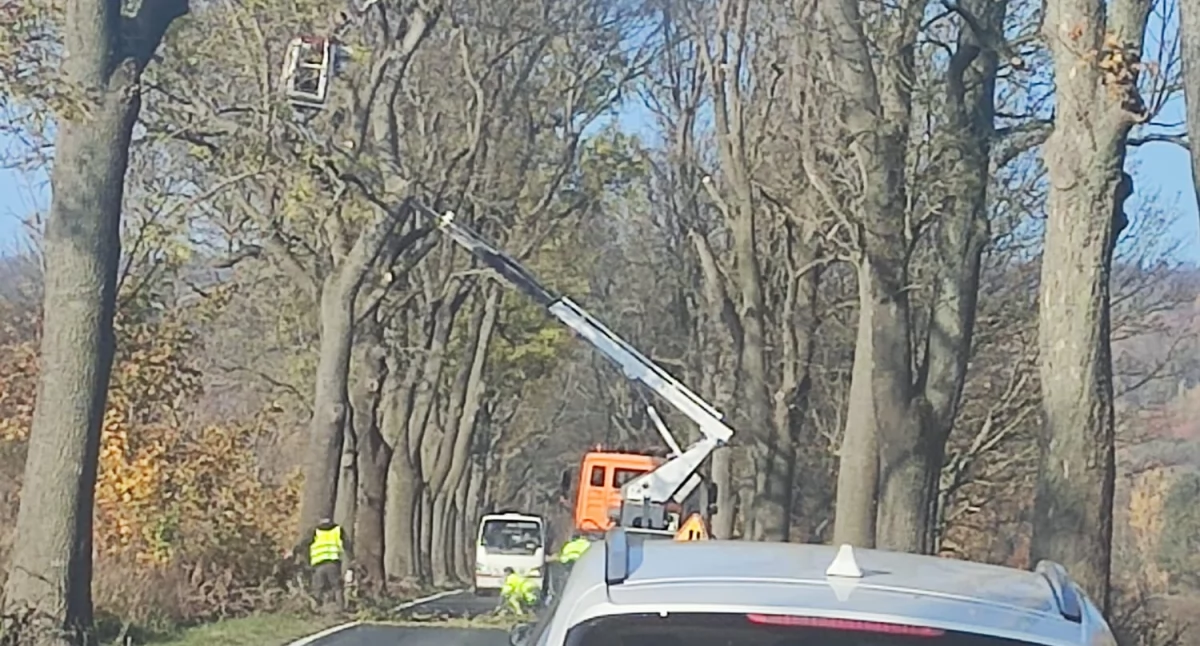 Utrudnienia na drodze na wysokości Pisarzowic