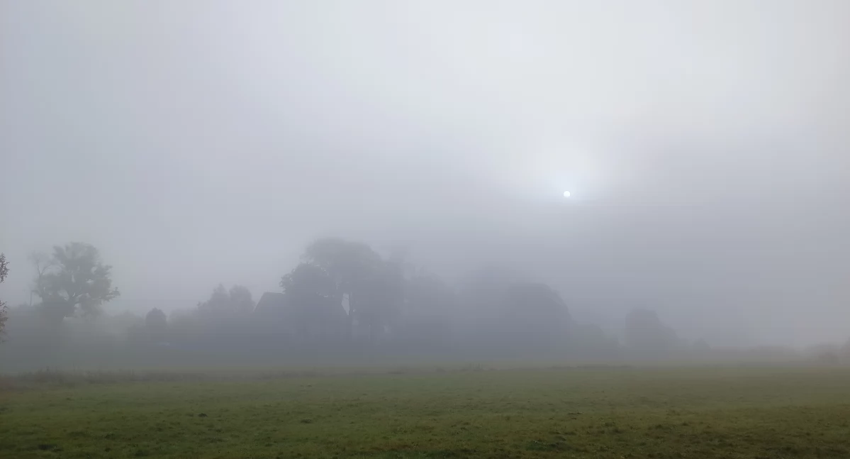 Gęsta mgła