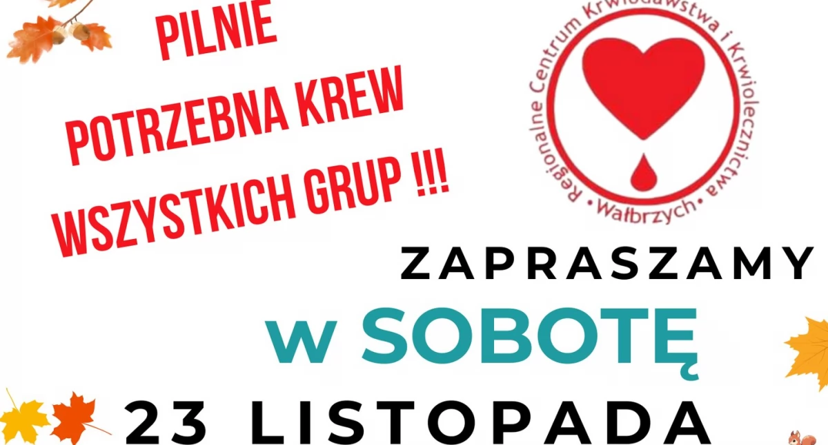 23 listopada - sobota w RCKiK